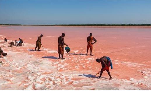 Circuits Touristiques